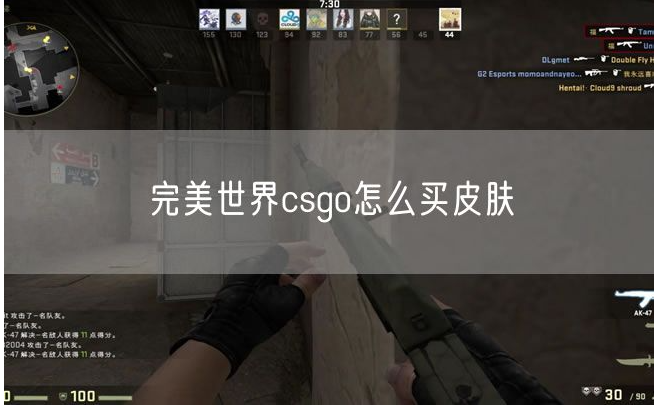 完美世界电竞csgo怎么买皮肤 完美世界csgo如何买皮肤