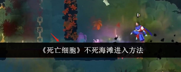 死亡细胞不死海滩怎么进入