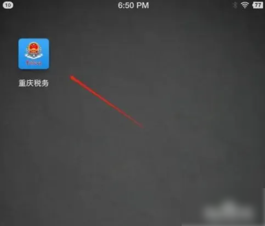 重庆税务app如何查看开票明细 重庆税务app查询发票信息方法