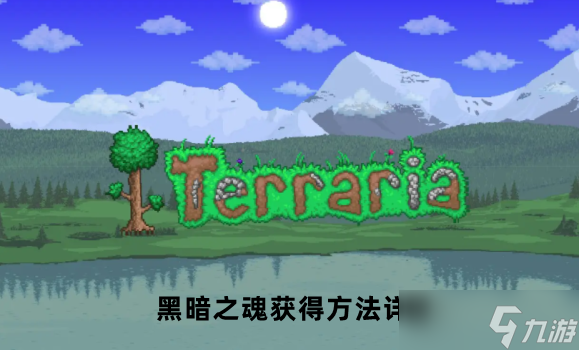 泰拉瑞亚黑暗之魂获得方法详解