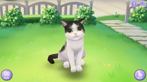 喵与筑猫咪乐乐解锁方法性格爱好图鉴