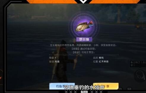 黎明觉醒钓鱼怎么钓