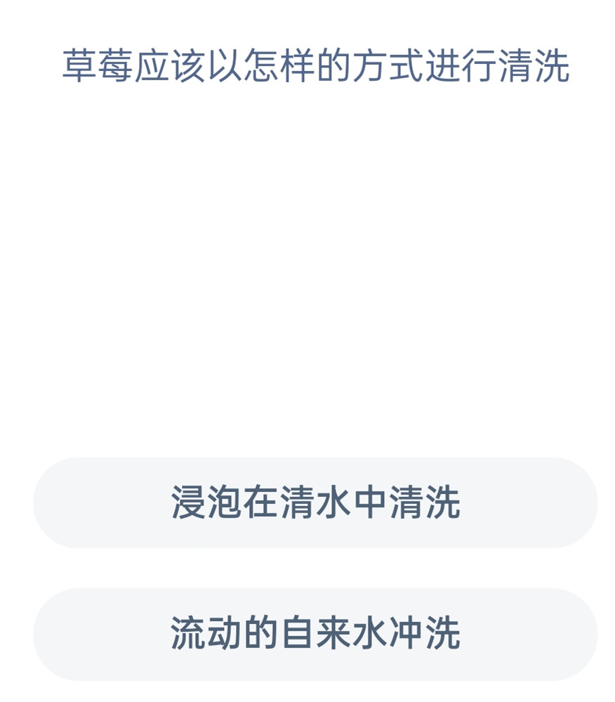 蚂蚁新村12月6日：草莓应该以怎样的方式进行清洗？