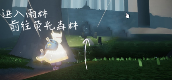 光遇雨林挂机点位置一览