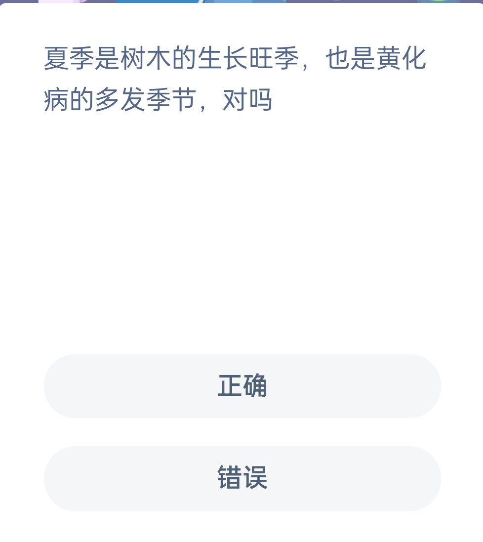 蚂蚁新村12月31日：夏季是树木的生长旺季，也是黄化病的多发季节，对吗?