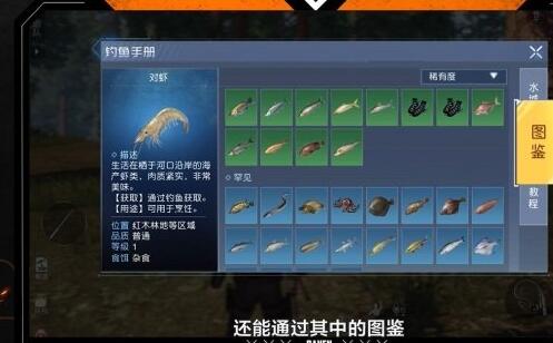 黎明觉醒钓鱼怎么钓