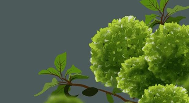 蚂蚁新村11月2日：为什么自然界中少有绿色的花？