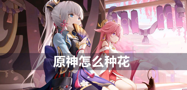 原神种花攻略