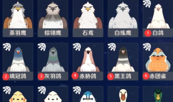 原神小动物捕捉位置大全