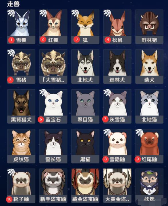 原神小动物捕捉位置大全