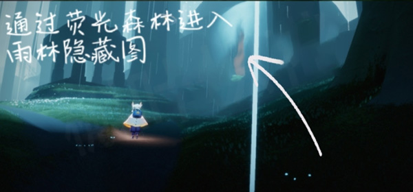 光遇雨林挂机点位置一览