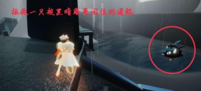 光遇每日任务11.11
