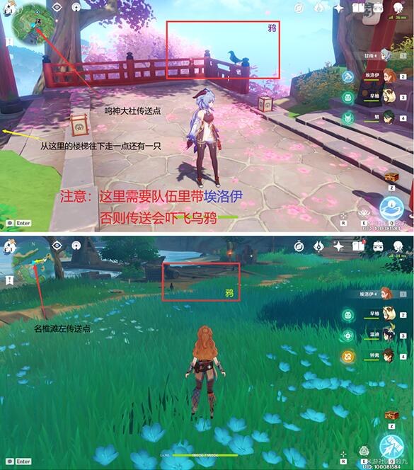 原神小动物捕捉位置大全