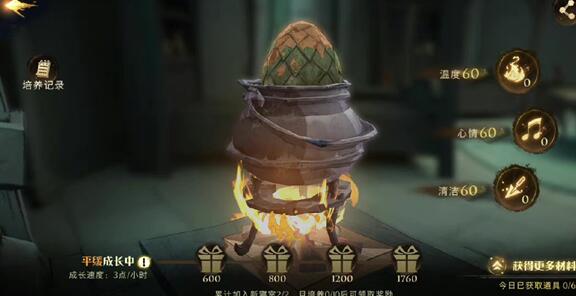 哈利波特魔法觉醒寝室龙蛋玩法