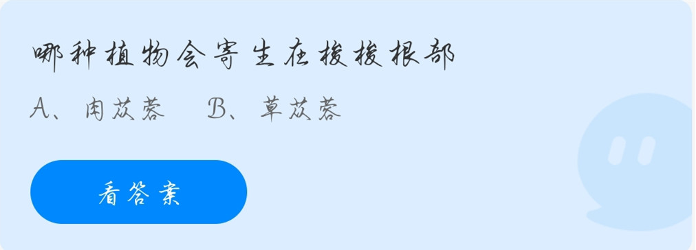 蚂蚁庄园11月23日：哪种植物会寄生在梭梭根部？
