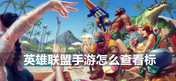 英雄联盟手游怎么查看标