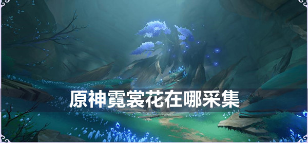 原神霓裳花在哪采集