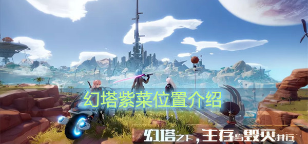 幻塔紫菜位置介绍