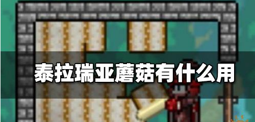 泰拉瑞亚蘑菇作用介绍