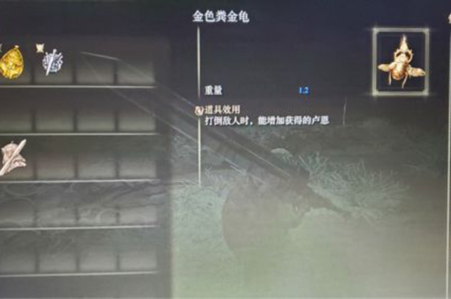 艾尔登法环金色粪金龟获得方法