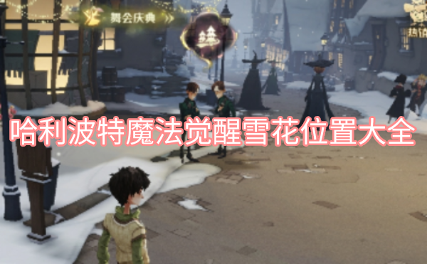 哈利波特魔法觉醒雪花位置大全