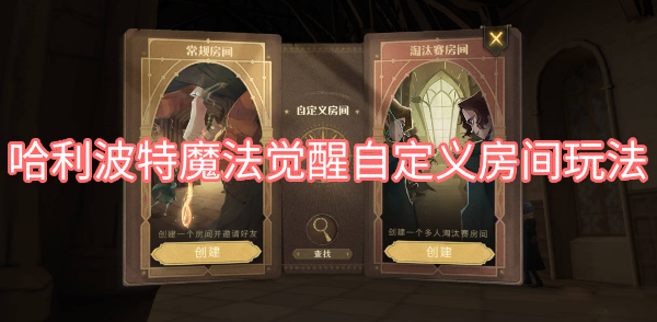 哈利波特魔法觉醒自定义房间玩法