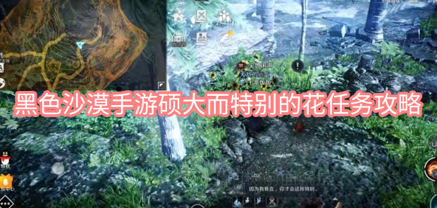 黑色沙漠手游硕大而特别的花任务攻略