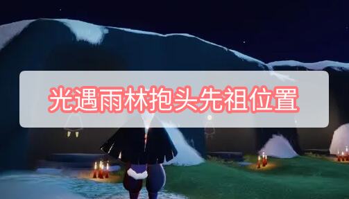 光遇雨林抱头先祖位置