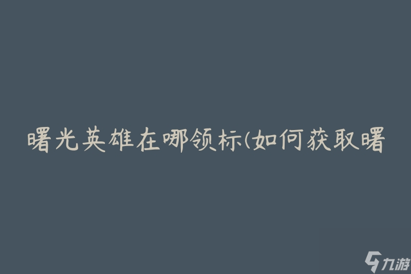 曙光英雄在哪领标(如何获取曙光英雄标识)
