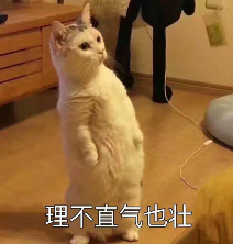 《超次元大海战》巡航测试·彩蛋（BUG）集锦1