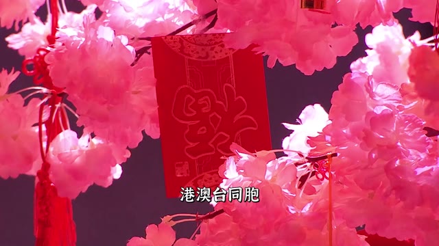 《叫我大掌柜》掌柜里面请-全新预告片精彩来袭