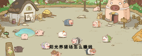 阳光养猪场怎么赚钱