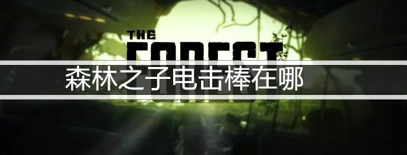 森林之子电击棒在哪