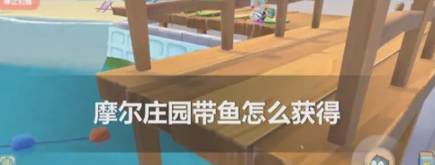 摩尔庄园带鱼怎么获得