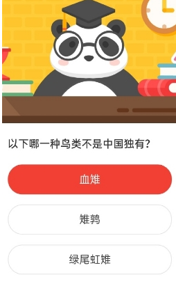 森林驿站7.24号每日一题答案介绍