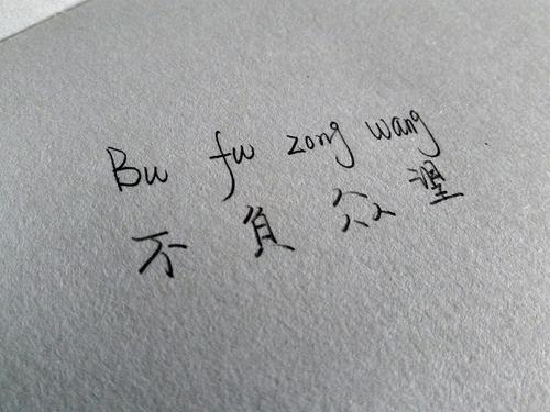 成语“不负众望"和“不孚众望”意思一样吗