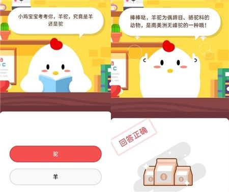 蚂蚁庄园11月6日最新答案汇总