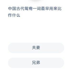 蚂蚁庄园12月4日答案最新汇总