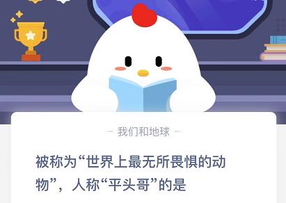 蚂蚁庄园12月8日答案最新汇总