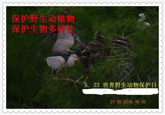 森林驿站9月18号每日一题答案介绍