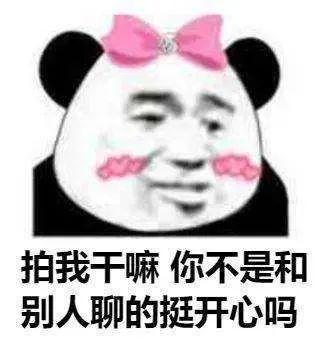 微信拍一拍功能趣味玩法教程