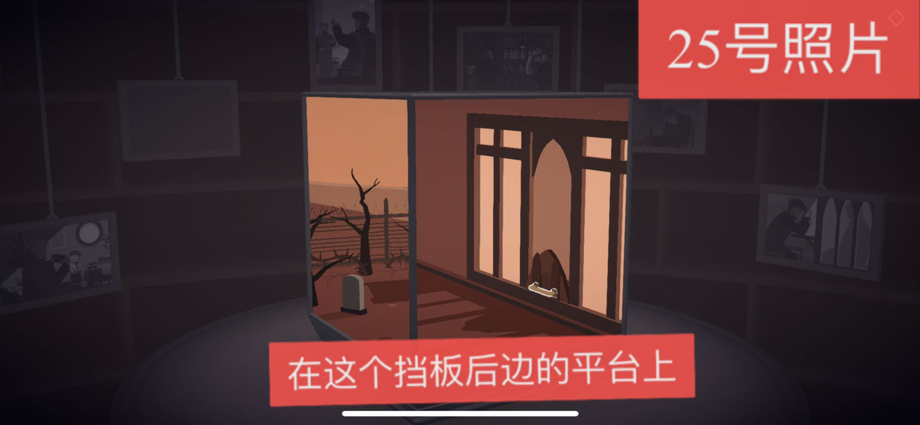 笼中窥梦全照片位置