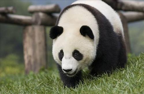 森林驿站12月10日每日一题答案介绍