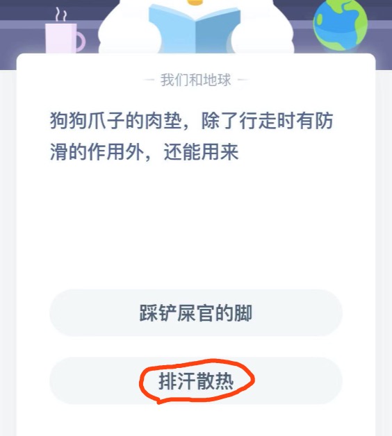 支付宝小鸡答题1月6日每日一题答案