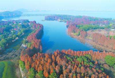 武汉别名“江城”，又被称为