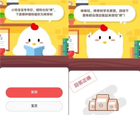 蚂蚁庄园11月9日最新答案汇总