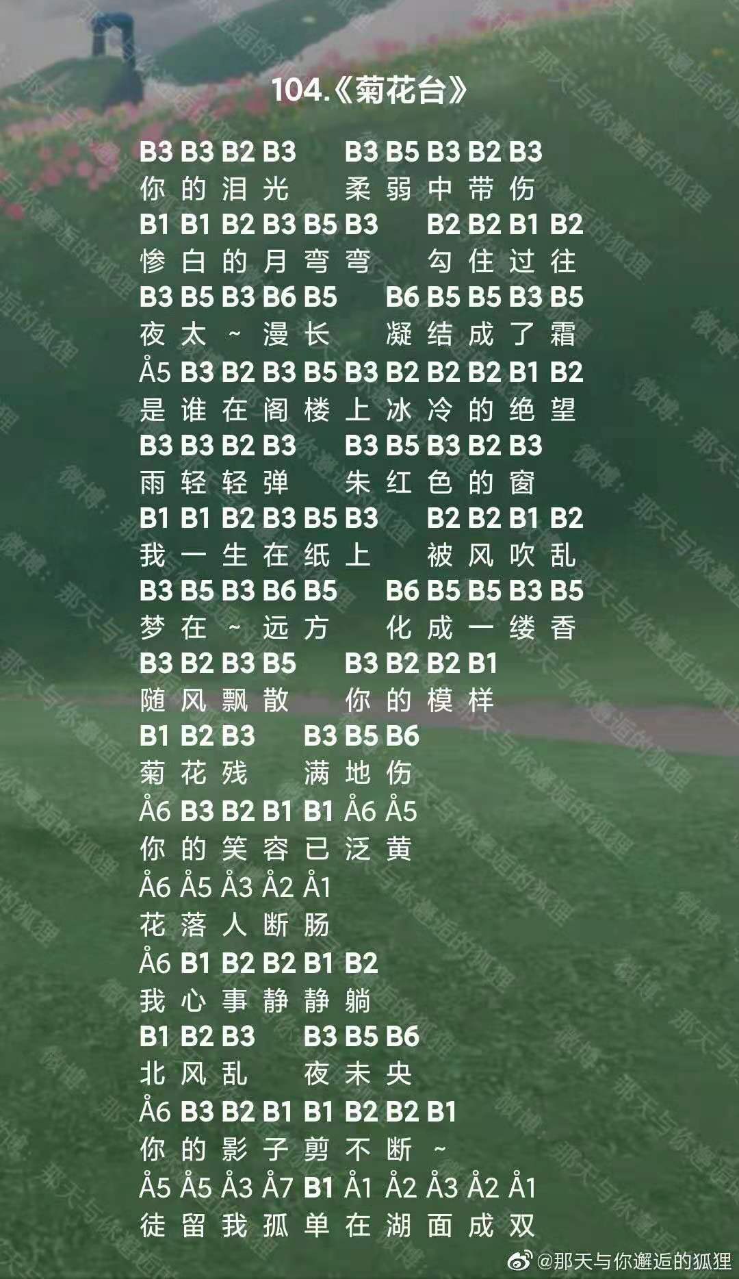 光遇菊花台乐谱分享