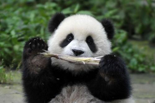 森林驿站9月8号每日一题答案介绍
