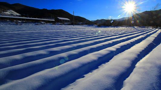 下雪对农事的好处包括