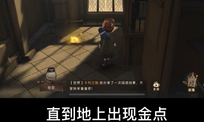 哈利波特魔法觉醒第三期拼图寻宝攻略大全